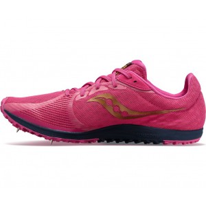 Saucony Kilkenny Xc9 Spike Pink Men