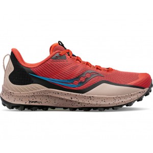 Saucony Peregrine 12 Orange Men