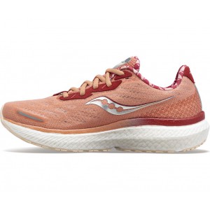 Saucony Bottomless Love Triumph 19 Coffee Women