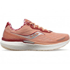 Saucony Bottomless Love Triumph 19 Coffee Women